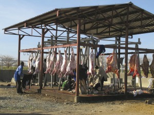 Aire d'abattage améliorée