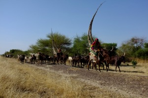 Transhumance